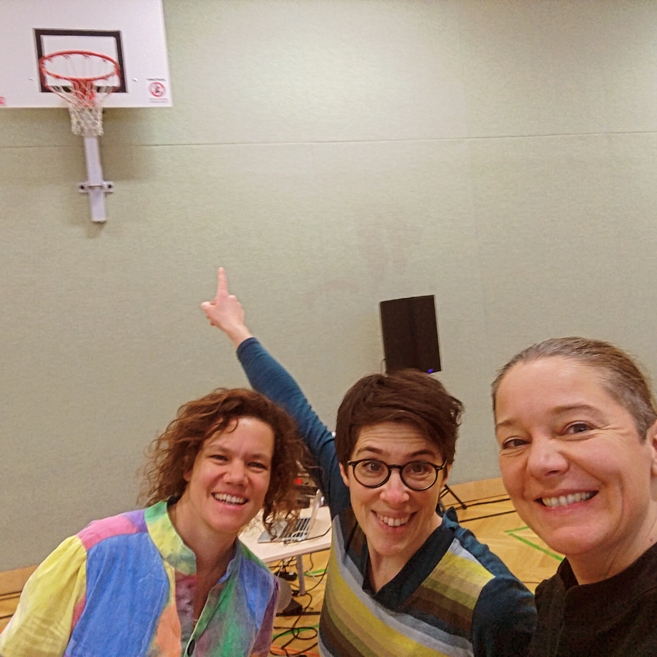 Von Links nach recht Julia Schreitl, Johanna Jonasch und Regina Picker blicken in dei Kamera. Im Hintergrund hängt ein Basketballkorb im Turnsaal.